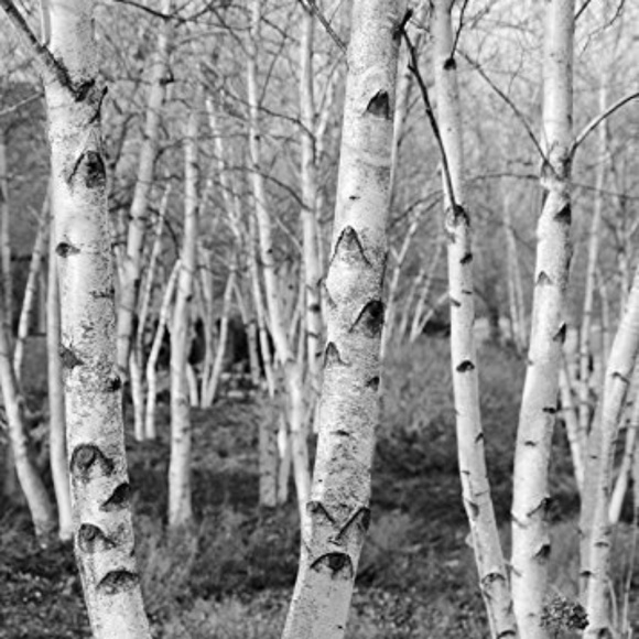 Men's Clothing - Picture 1 of 1